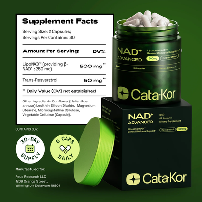 Liposomal NAD⁺